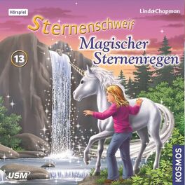 Album cover of Teil 13: Magischer Sternenregen