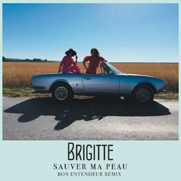 Album picture of Sauver ma peau (Bon Entendeur Remix)