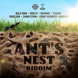 Album cover of Ant's Nest Riddim