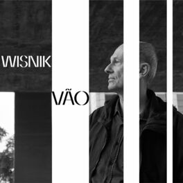 Album cover of Vão