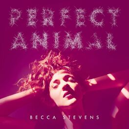 Album cover of Perfect Animal