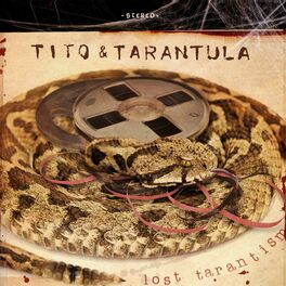 Album cover of Lost Tarantism