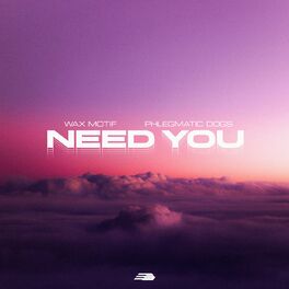 Album cover of Need You