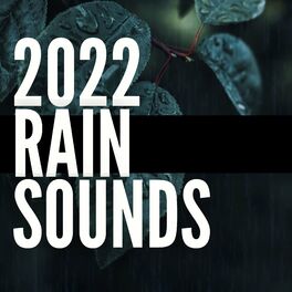Album cover of 2022 Rain Sounds