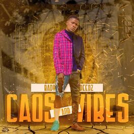 Album cover of Caos and Vibes