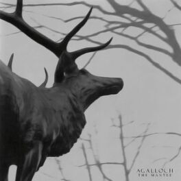 Album cover of The Mantle