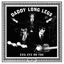 Silver Satin  DADDY LONG LEGS