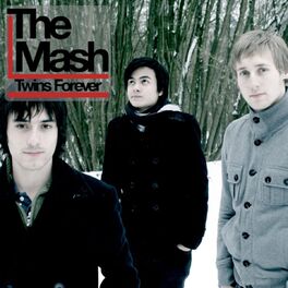 Album cover of Twins Forever