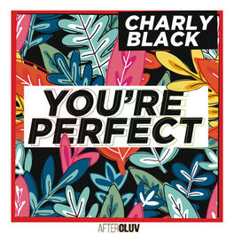 Album cover of You're Perfect