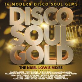 Album cover of Disco Soul Gold (The Nigel Lowis Mixes)