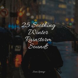 Album cover of 25 Soothing Winter Rainstorm Sounds