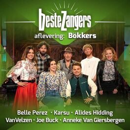 Album cover of Beste Zangers Seizoen 2021 (Aflevering 2 - Bökkers)