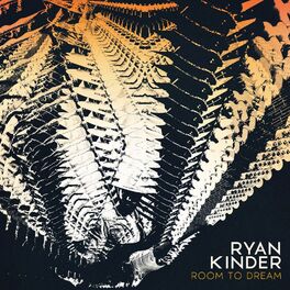 Album cover of Room to Dream