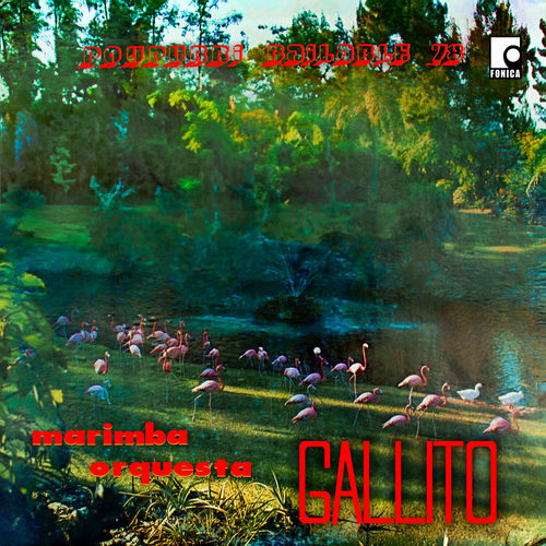 Marimba Orquesta Gallito Poupurri Bailable 78 letras de canciones