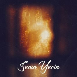 Album cover of Senin Yerin