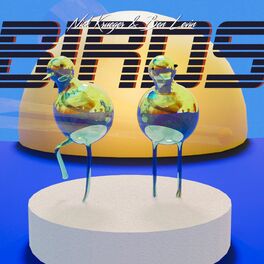 Album cover of Birds