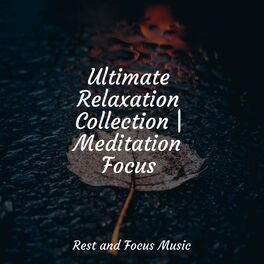 Album cover of Ultimate Relaxation Collection | Meditation Focus
