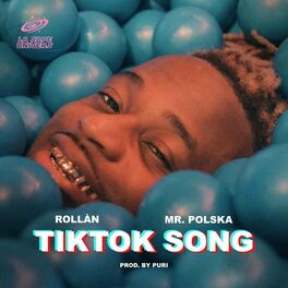 Album cover of TikTok Song (feat. Mr. Polska & Puri)