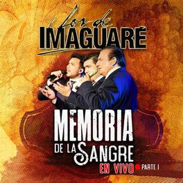Album cover of Memoria de la Sangre En Vivo, Pt 1 (En Vivo)