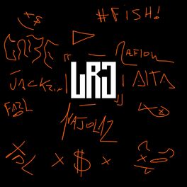 Album cover of Lrj