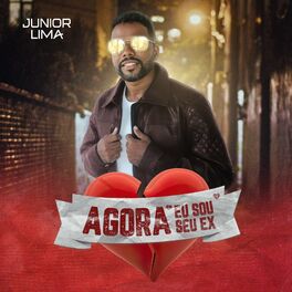Album cover of Agora Eu Sou Seu Ex