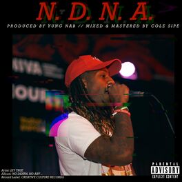 Album cover of N.D.N.A.