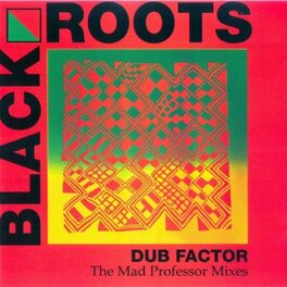 Album cover of Dub Factor 1 - The Mad Professor Mixes