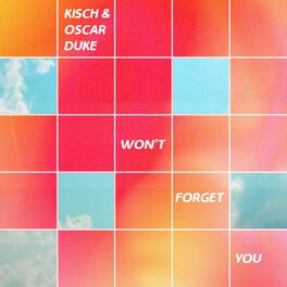 Album cover of Won't Forget You