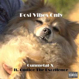 Album cover of Posi Vibes Only (feat. Cudjoe The Excellence)