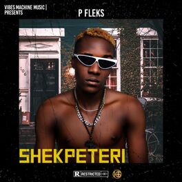 Album cover of Shekpeteri