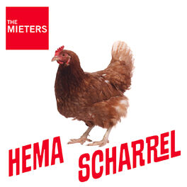 Album cover of HEMA / Scharrel