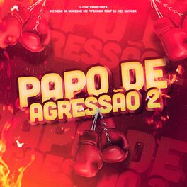 Album cover of Papo de Agressão 2 (feat. DJ Biel Divulga)