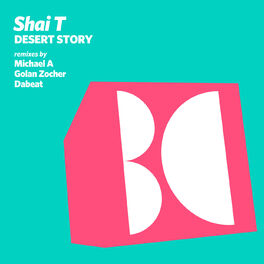 Album cover of Desert Story