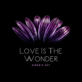 Album cover of Love Is The Wonder