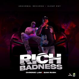 Album picture of Rich Badness