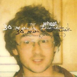 Album cover of 30 Minute Theatrik (Scanning the Garden)