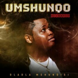Album cover of Umshunqo Reloaded