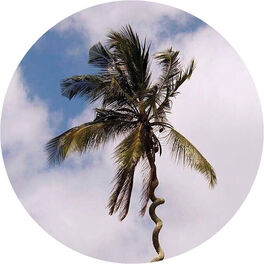 Album cover of Be Like Water