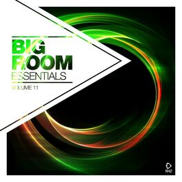 Album cover of Big Room Essentials, Vol. 11