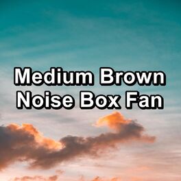 Album cover of Medium Brown Noise Box Fan