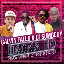 Album cover of Haona Ho (feat. DJ Sumbody, Liquid Metsi & Carpo)