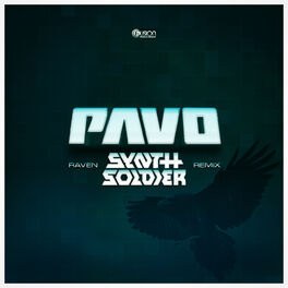 Album cover of Raven (Synthsoldier Remix)