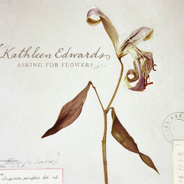 Album cover of Asking For Flowers