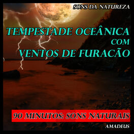 Album cover of Tempestade Oceânica Com Ventos de Furacão: Sons da Natureza