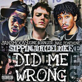 Album cover of Did Me Wrong (feat. Naz Fontaine, JahSmoov & Lone Ranger)