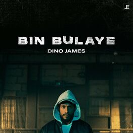 Album cover of Bin Bulaye
