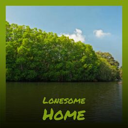 Album cover of Lonesome Home