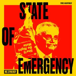 Album cover of State Of Emergency (feat. HashFinger)