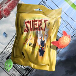 Album picture of SUER.T