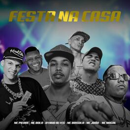 Album cover of Festa Na Casa